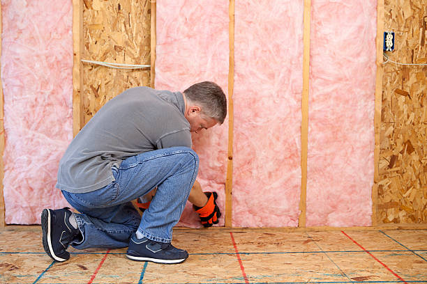 Types of Insulation We Offer in Frankfort, KY